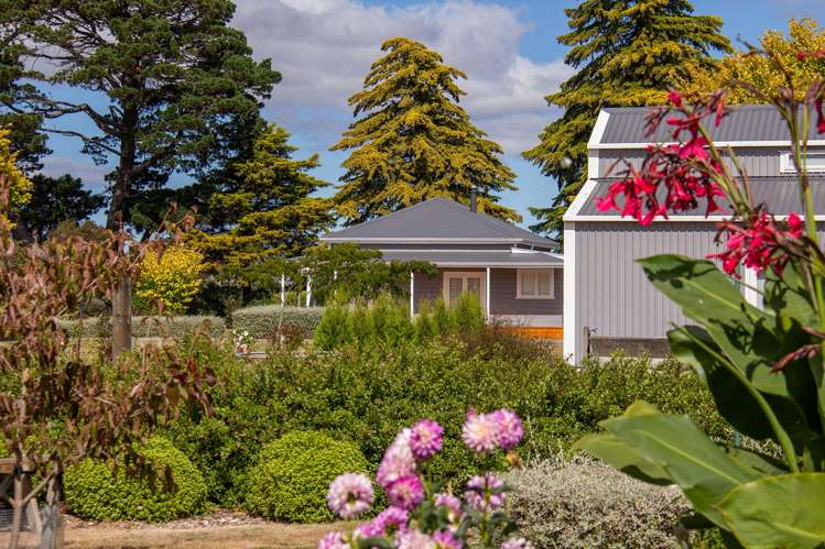 174 Loop Line Opaki_23