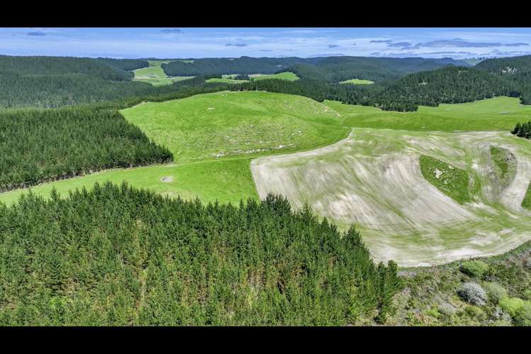 Korako Road Taupo_16