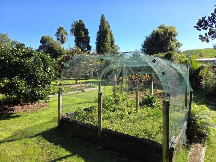 18 Pumpkin Flat Road Kuaotunu_3