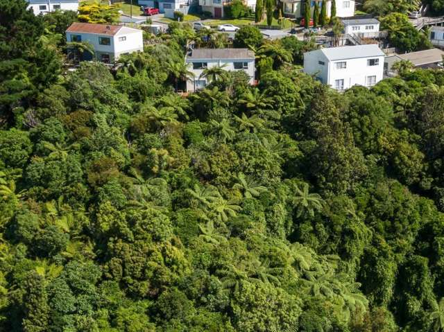 30B Cheltenham Terrace Newlands_4