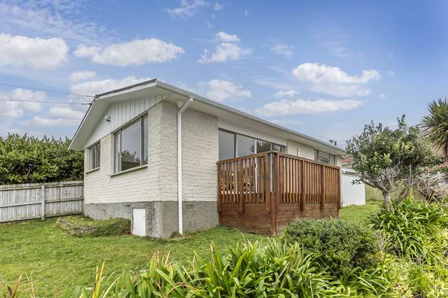 32a Hindmarsh Street Johnsonville_3