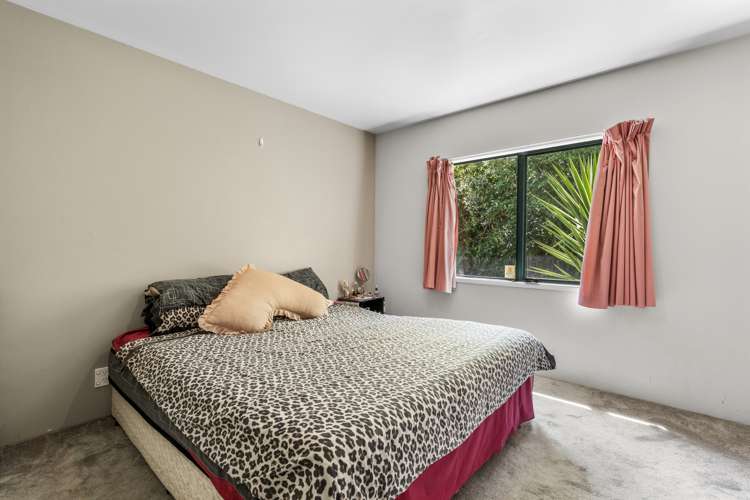 409b Maungatapu Road Maungatapu_9