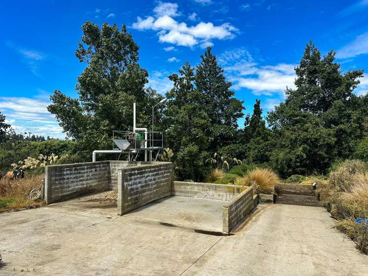 318 Waipango Ermedale Road Gummies Bush_17