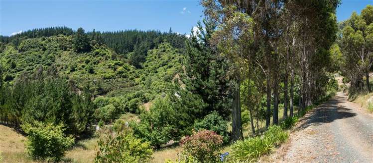 98 Mac'S Road Hira_20