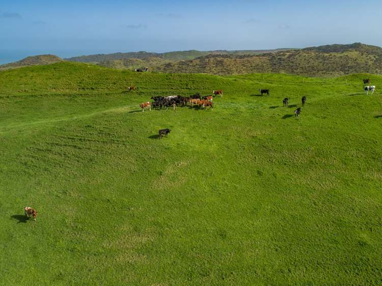 273 Kelland Road Pollok_7