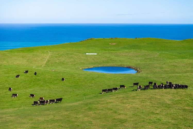 792 Omamari Road Dargaville Surrounds_10