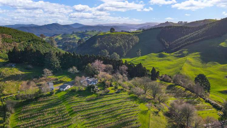 1427 Te Kopia Road Waikite Valley_0