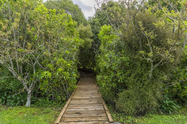 100 Maui Pomare Road Nikau Valley_18