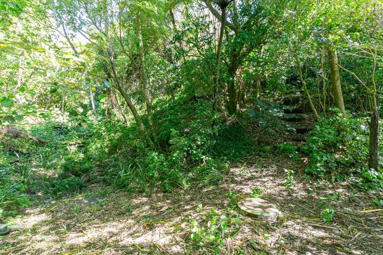 51 Creswick Terrace Northland_21