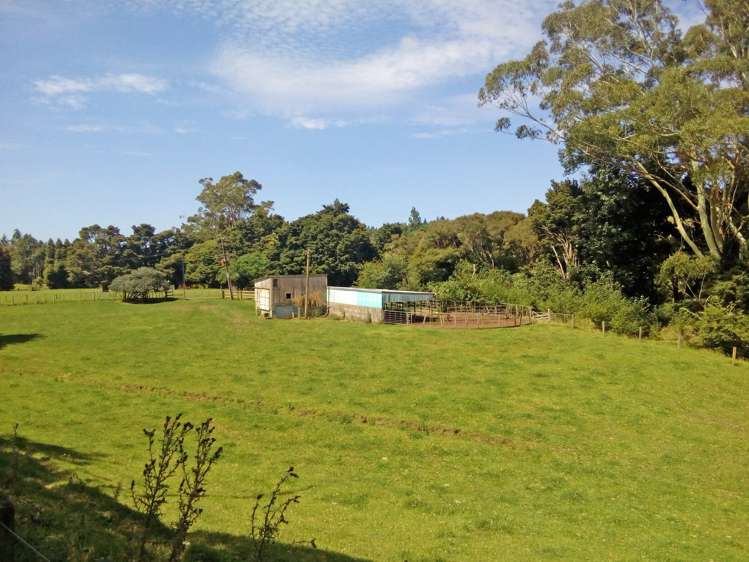 2140 Diggers Valley Road Kaitaia_5