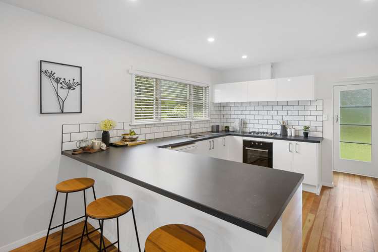 33 Karaka Street Eden Terrace_1