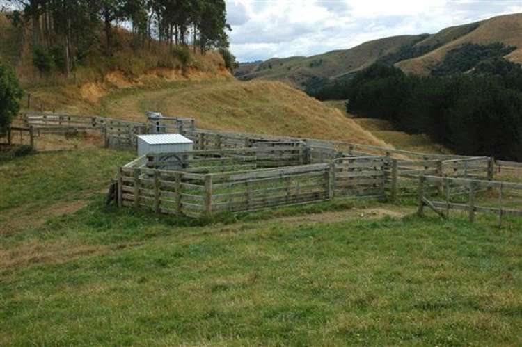 Waiti Road Tahuna_16