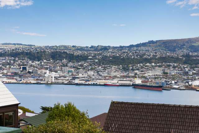 207 Larnach Road Waverley_3