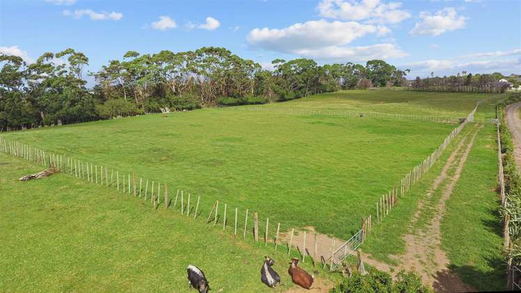 78 Dell Road Waiau Pa_20