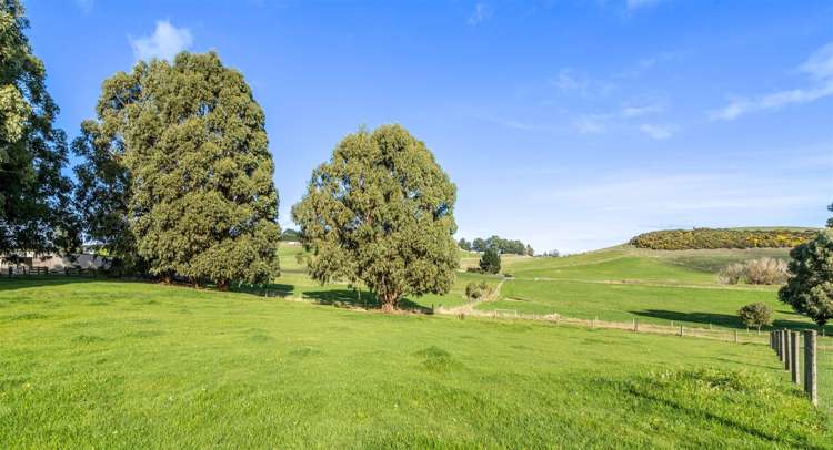 141 Mckinnon Road Gore Surrounds_33