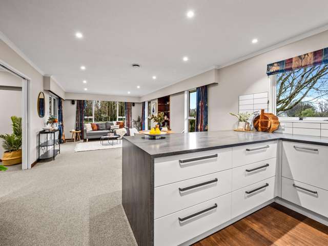 55 Peters Street Hinds_4