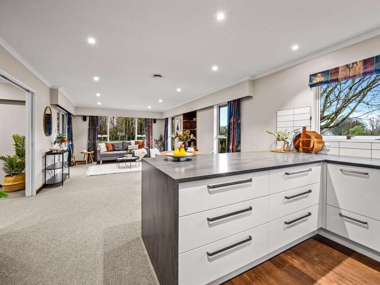 55 Peters Street Hinds_4