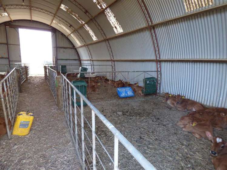 203/219 Paewhenua Road Maihiihi_26