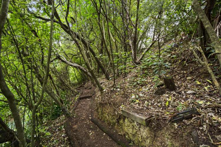 8 Green Park Lane Korokoro_19