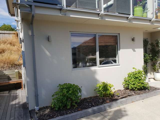 100a Mcbride Street Frankton_1