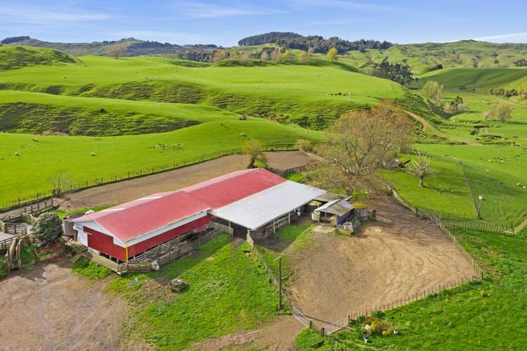 486 Ngatarawa Road Mahoenui_17