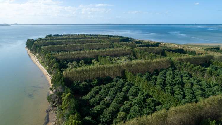 405-419 Matahui Road Aongatete_6