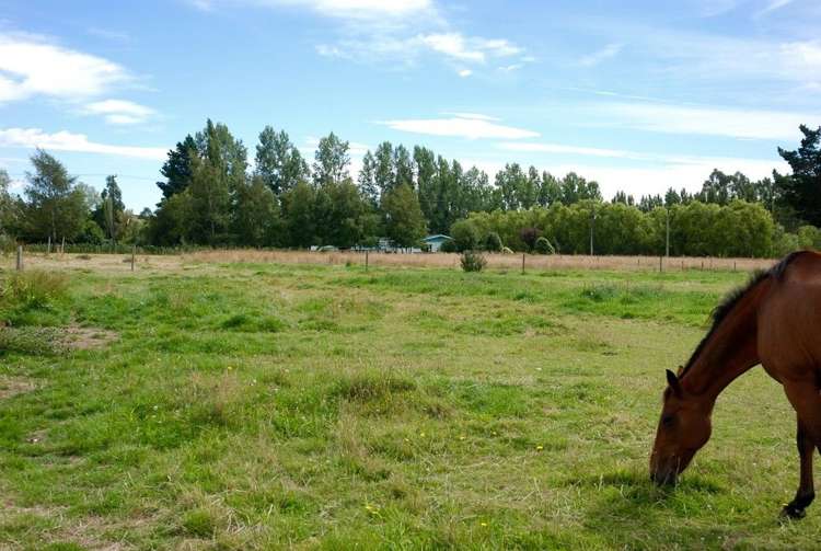 Timaru Road Waimate_0
