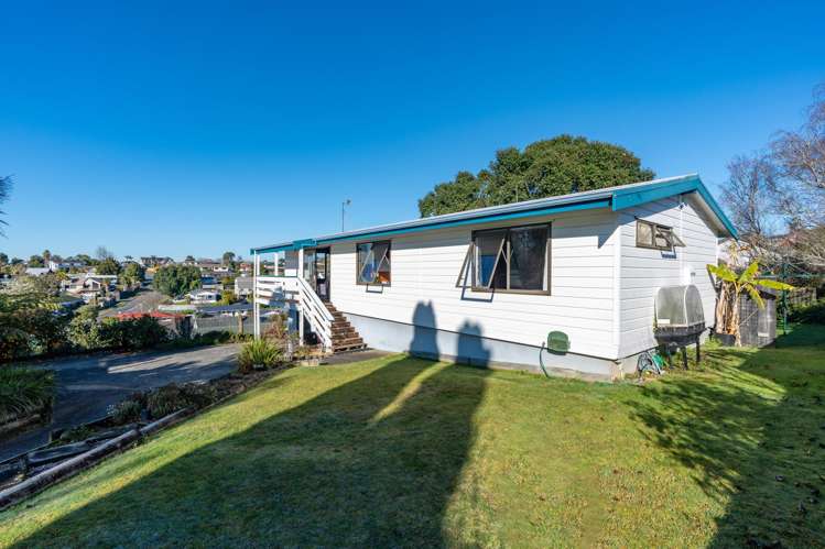 149A Ellicott Road Nawton_21