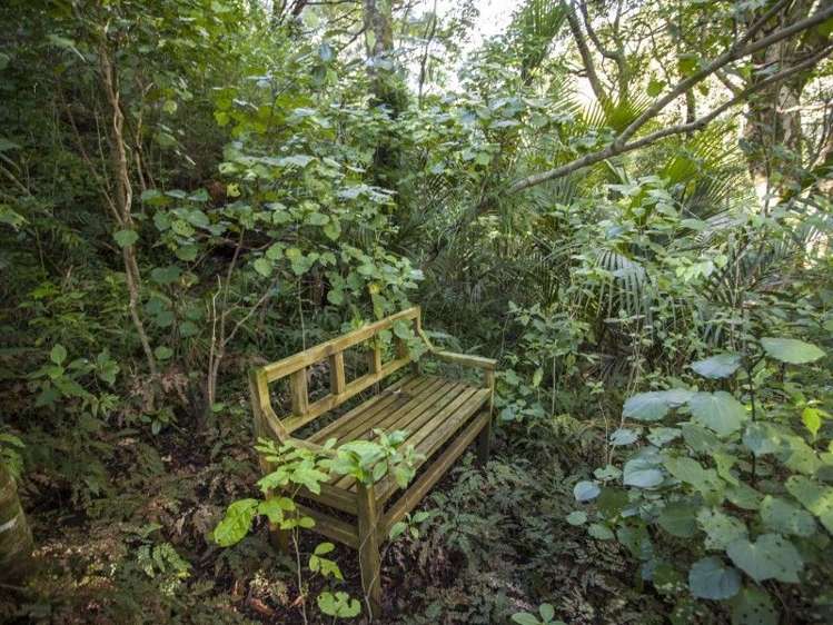 18 Patui Avenue Ngarimu Bay_20