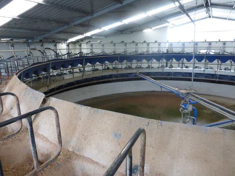 1847 Thompsons Track Lauriston_15