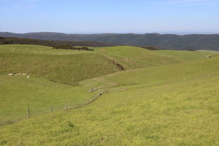 339 Rankleburn Road Pomahaka_25