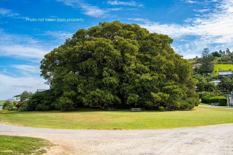 6 Emay Crescent Pahi_24