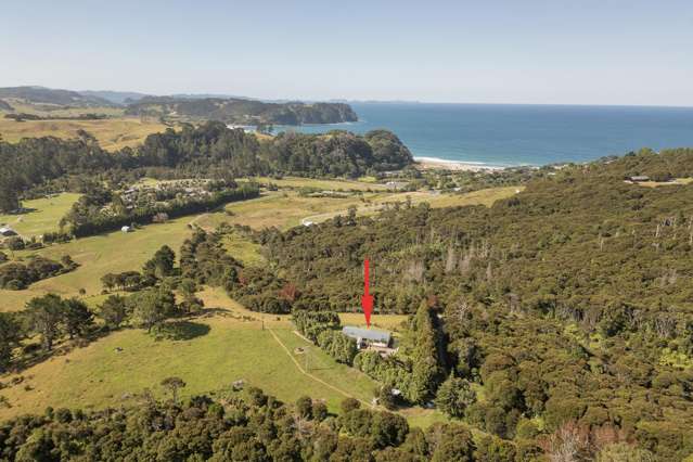 Lot 7, 104 Taiwawe Lane Hot Water Beach_1