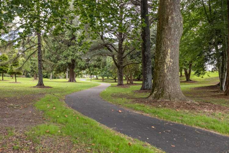 31 Harrier Street Parkvale_22