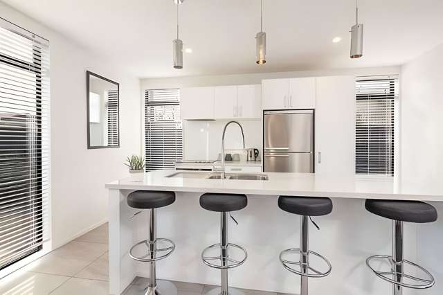 36A Rosewarne Street Spreydon_2