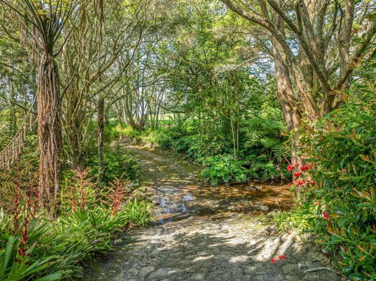 59E Riddell Road Kerikeri_17