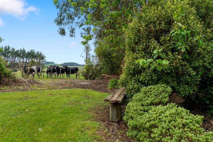 236 Parkville Road Eketahuna_15
