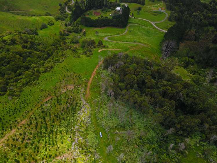 Lot 0 Te Rore Road Kaitaia_10