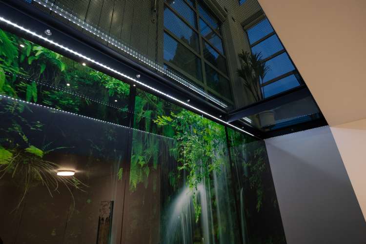 23a Montgomery Terrace Hokowhitu_10