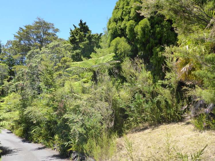 11 Punga Grove Avenue Riverside_4