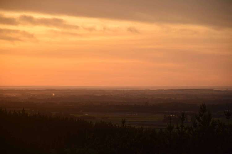 347 Davis Road Cust_8