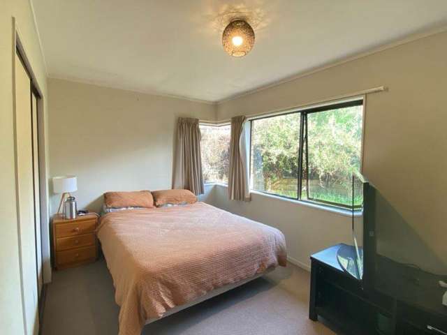 232A Valley Road Mt Maunganui_3