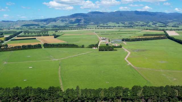 215a Wairio Road Featherston_2