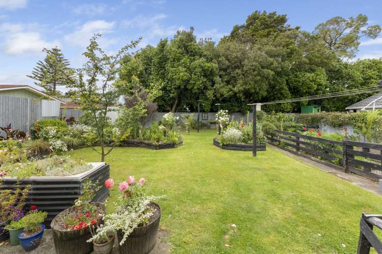 5 Pascal Street Palmerston North Central_17