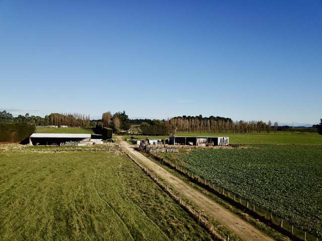 200 Rakahouka Grove Bush Road Grove Bush_3