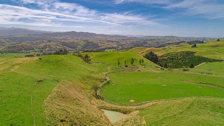 1094 Opaki Kaiparoro Road Rangitumau_4