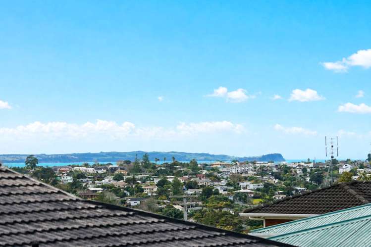 10B Acacia Road Torbay_20