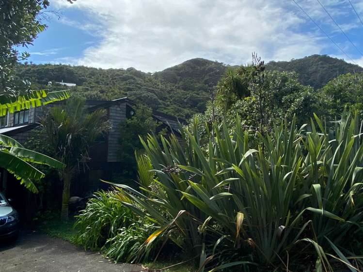 126 Garden Road Piha_10