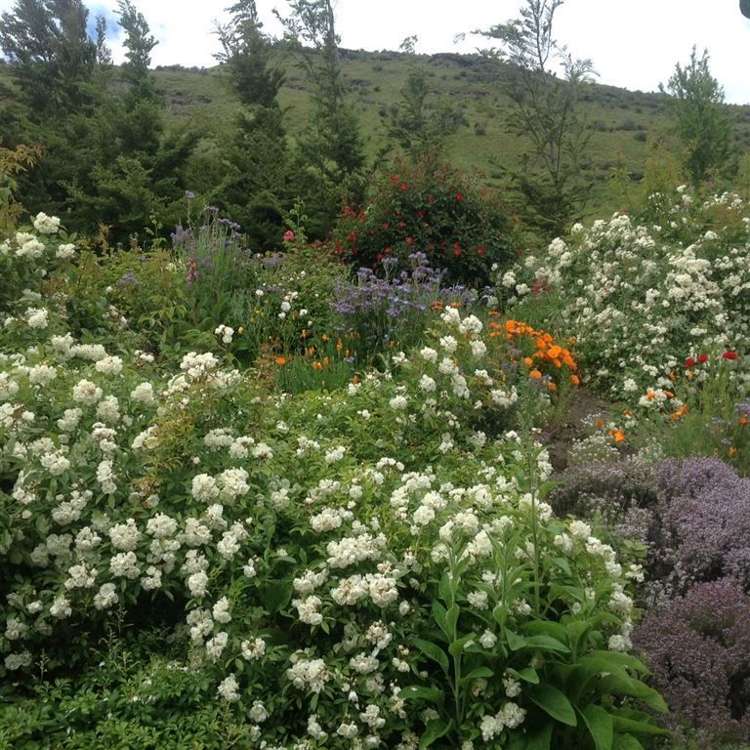 163 Hansen Road Queenstown Hill_18