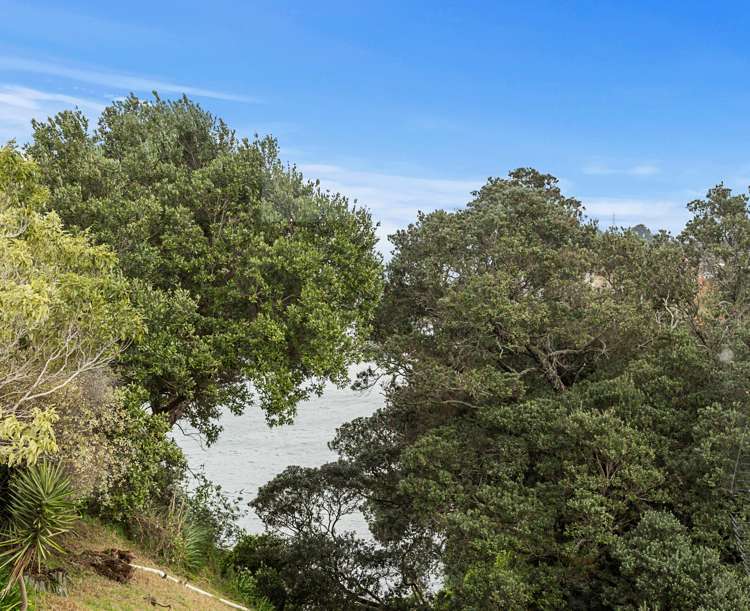 5 Bamfield Place Hillsborough_18